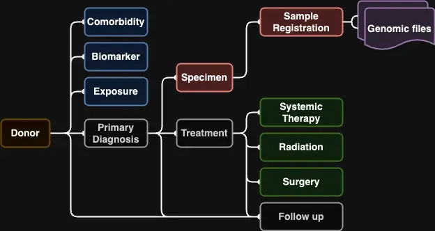 clinical data model